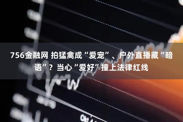 756金融网 拍猛禽成“爱宠”、户外直播藏“暗语”？当心“爱好”撞上法律红线